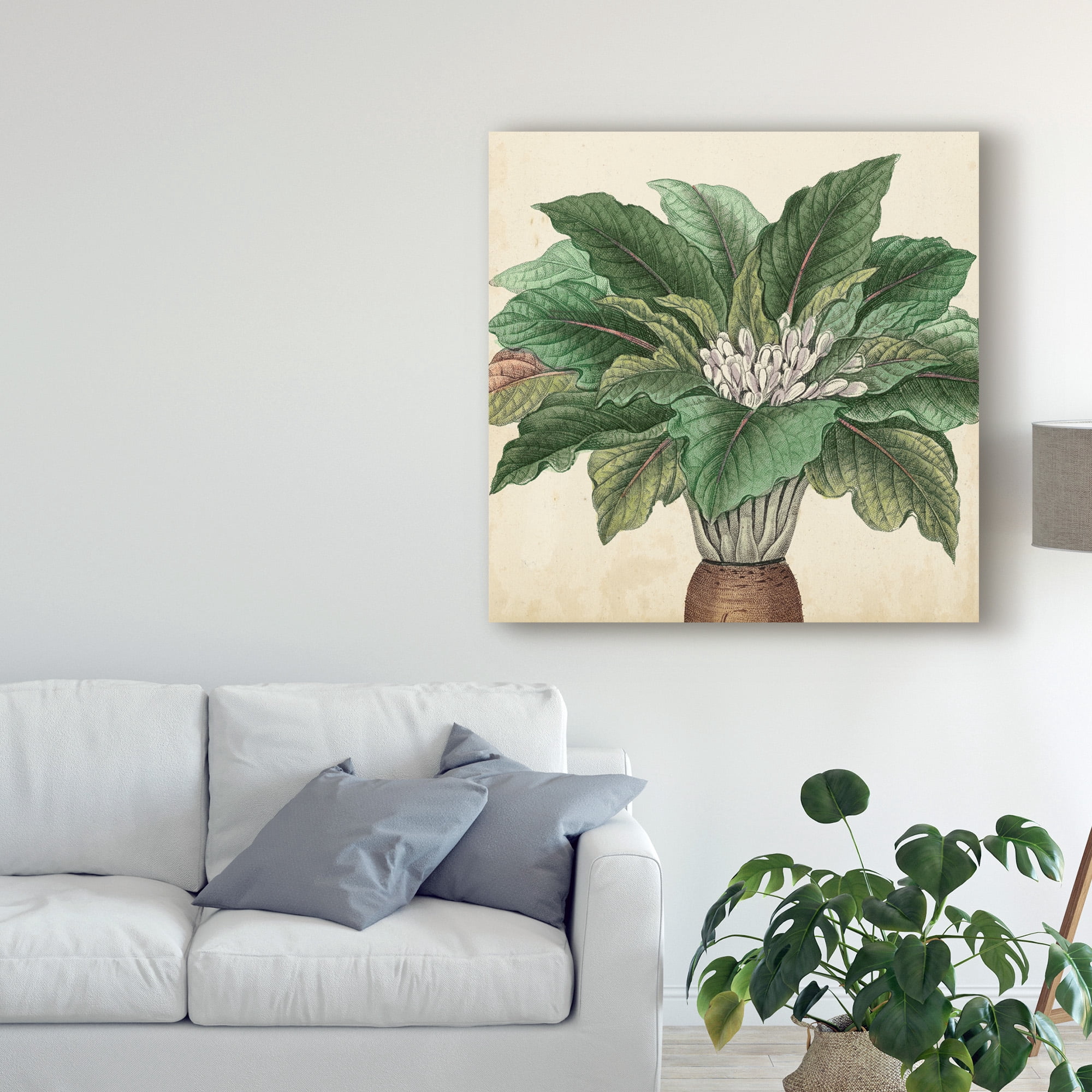 Trademark Fine Art 'Garden Bounty V' Canvas Art by Vision Studio