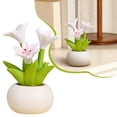 thumbnail image 2 of 1Pc Cute Desk Accessories Mini Fake Plant, Kawaii Resin Calla Lily Flower Figurine with Smile Face Pot, Aesthetic Office Decor Cubicle Bookshelf Knick Knack, 2 of 9