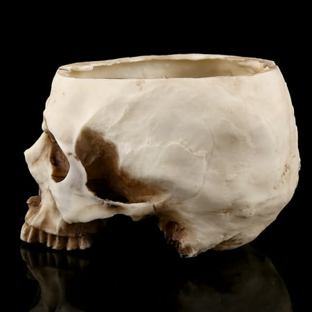 YLSHRF Skull Flowerpot 1Pc Resin Skull Head Design Flower Pot Planter Container Decoration Skull Plant Pot