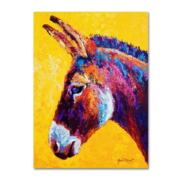 Trademark Fine Art 'Donkey Portrait III' Canvas Art by Marion Rose