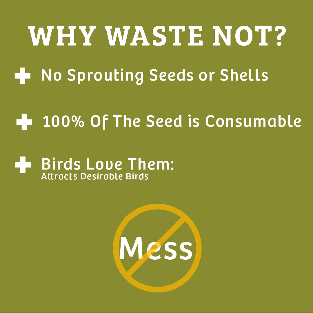 Birds Choice Waste-Not Wild Bird Food - 10 lbs.