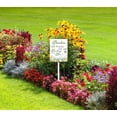 thumbnail image 4 of Eveokoki 8x12 Inch Pardon The Weeds,We Are Feeding The Bees Aluminum Lawn Sign Stand Yard Sign With Metal Stakes Kit Outside Garden Grass Farm Signs Outdoor Decorations, 4 of 6