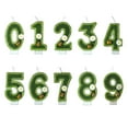 thumbnail image 3 of Xingzhi Digital Candle Cake Plaque, 3 of 9