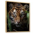 thumbnail image 2 of Designart "Vibrant Tiger Portrait" Animals Floater Framed Wall Decor, 2 of 7