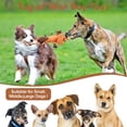 thumbnail image 2 of Xekoro Squeaky Dog Toys, Tug of War Dog Toy for Large Dogs, Plush Puppy Toys with Pull Rope, Interactive Dog Toys for Small, Middle, and Big Dogs, 2 of 7