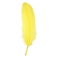 thumbnail image 2 of Natural Yellow Craft Feathers Soft DIY Feather for Wedding Decor Handmade Art Craft Decor Feathers DIY Enthusiasts Home Party Feathers Decoration 3.93-5.91 Inch (1Pcs), 2 of 9
