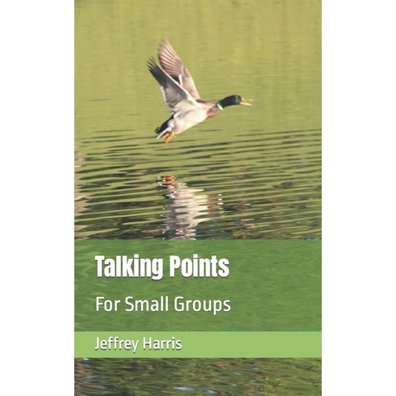 Talking Points: For Small Groups, (Paperback)