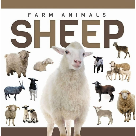 Sheep, (Paperback)