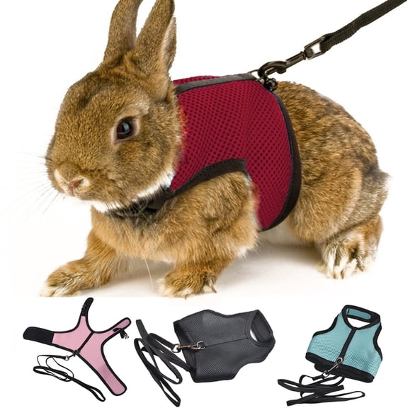 Dengjunhu Small Animal Harness and Leash - Soft Mesh Small Pet Harness, No Pull Comfort Padded Vest for Small Pet