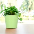 thumbnail image 4 of 4Set Flower Plant Succulent Pot Wall Mounted Iron Planter Garden Balcony Accessory(Light Green Detachable), 4 of 5