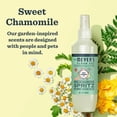thumbnail image 2 of Spray desodorizante para perros MRS. MEYER'S CLEAN DAY Sweet Chamomile 240 ml, 2 of 8