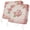 Pink, variant on Pink Roses 2 Pcs Patio Cushion Covers, Country Vintage Romantic Pastoral Flowers Green Leaf Waterproof Outdoor Cushion Cover, Replacement Washable Sofa Chair Seat Cover with Zipper 20"x18"x4"