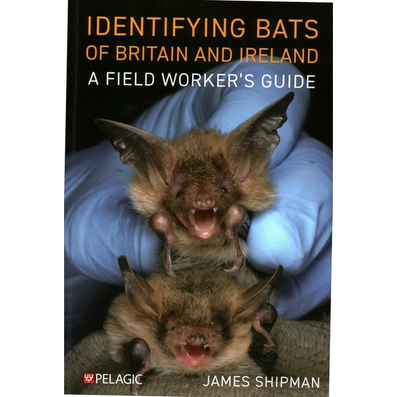 Identifying Bats of Britain and Ireland: A Field Worker's Guide, (Paperback)