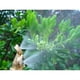 thumbnail image 3 of Regadera de Agrícola de Cobre Amarillo de La Niebla Del de La 2-head de La 2-head, 3 of 7