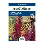 Ferry-Morse 15MG Foxglove Mixed Colors Flower Seeds Packet