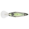 thumbnail image 5 of Berkley Money Badger, 7.25, Northern Lights, 5 of 11