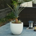 thumbnail image 2 of White MgO Round 12.2in. H Outdoor Planter, 2 of 9