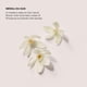 thumbnail image 4 of Crema Corporal Laura Mercier Sérum Hidratante 48h, 4 of 6