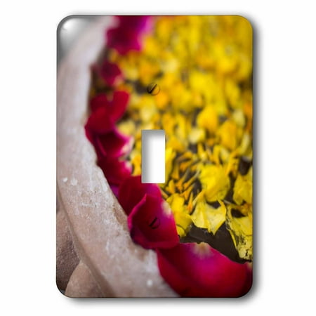 3dRose Flower petals floating on water surface in Udaipur, Rajasthan, India., Single Toggle (Best Electrical Switches In India)