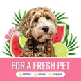 thumbnail image 6 of Naturel Promise Fresh & Soothing Deep Cleaning Sweet Summer Dog Shampoo, 22oz Bottle, 6 of 8