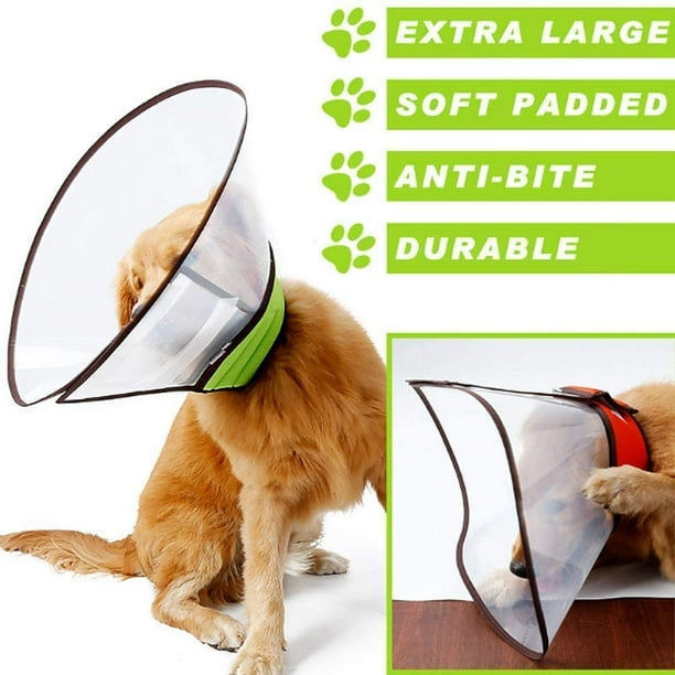 Padded e collar for cheap dogs