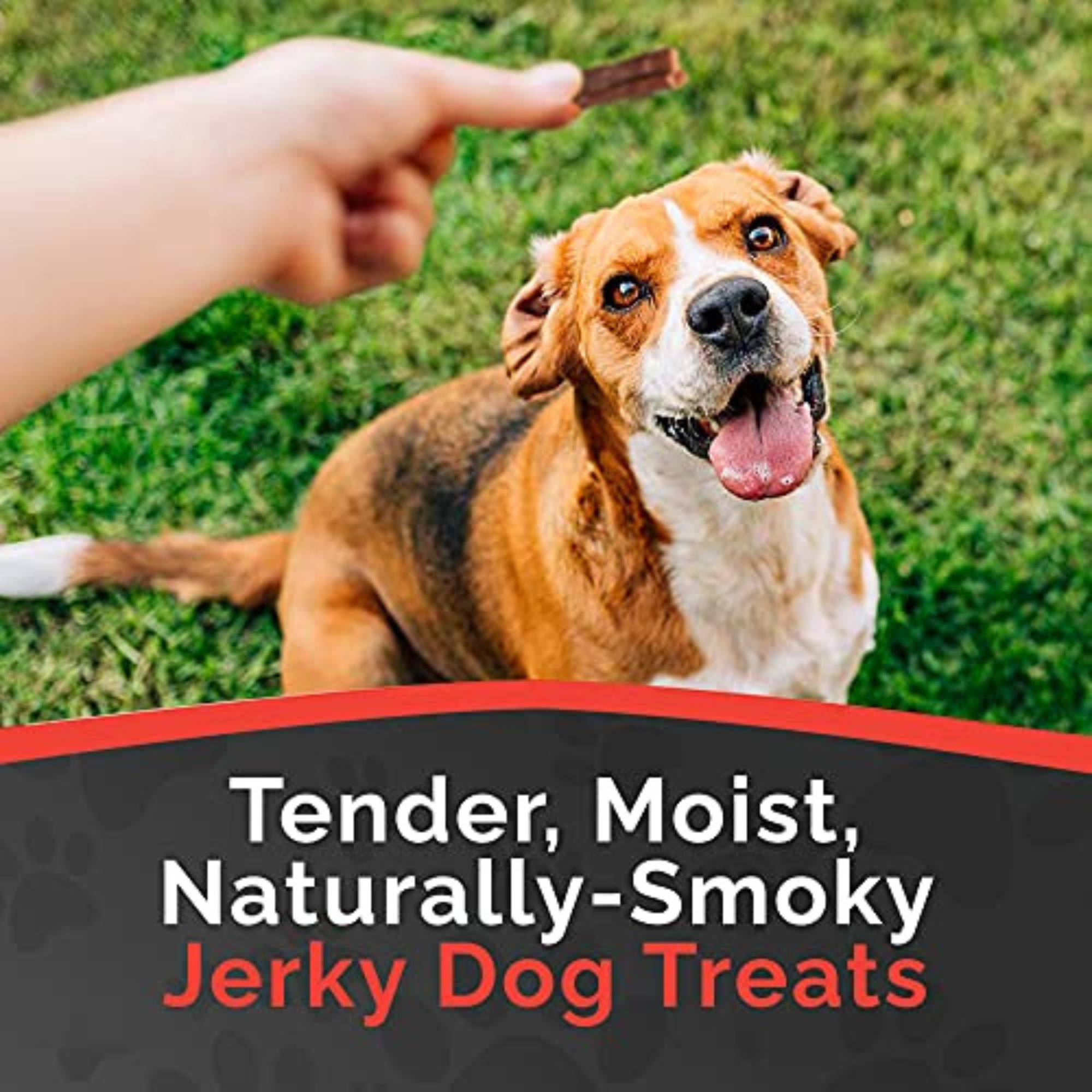 Miss Nelly's - Heart of The Wild – All Natural Elk & Venison Jerky Dog Treats - Made in USA Only - Minimally Processed Real Meat Treats - 32 oz