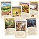 thumbnail image 4 of Expansión del juego de mesa CATAN Traders & Barbarians 6.ª edición, 4 of 5