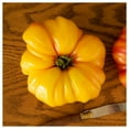 thumbnail image 3 of Everwilde Farms - 1 lb Yellow Brandywine Heirloom Tomato Seeds - Gold Vault Bulk Seed Packet, 3 of 3