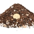 thumbnail image 2 of Bonsai Soil Mix Ready to Use (1qt), Premium Fast Draining Organic All Purpose Potting Mix for All Varieties of Bonsai, 2 of 3
