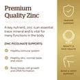 thumbnail image 4 of Suplemento Solgar Picolinato de Zinc 22 mg 100 comprimidos, 4 of 8
