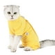 thumbnail image 1 of Traje de recuperación para gatos para heridas abdominales Enfermedades de la piel después de la cir Tomshoo Chaleco de recuperación, 1 of 7