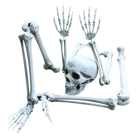 TopLLC Halloween Decor Fall Decor Halloween Skeleton Prop Human Full Size Skull Hand Garden Model Decor Halloween Party Favor