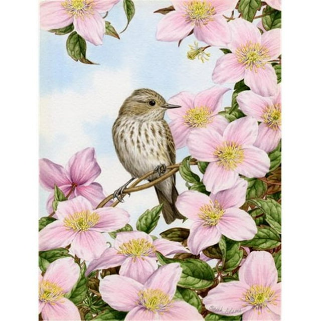 Carolines Treasures ASA2088CHF Spotted Flycatcher Flag Canvas House Size