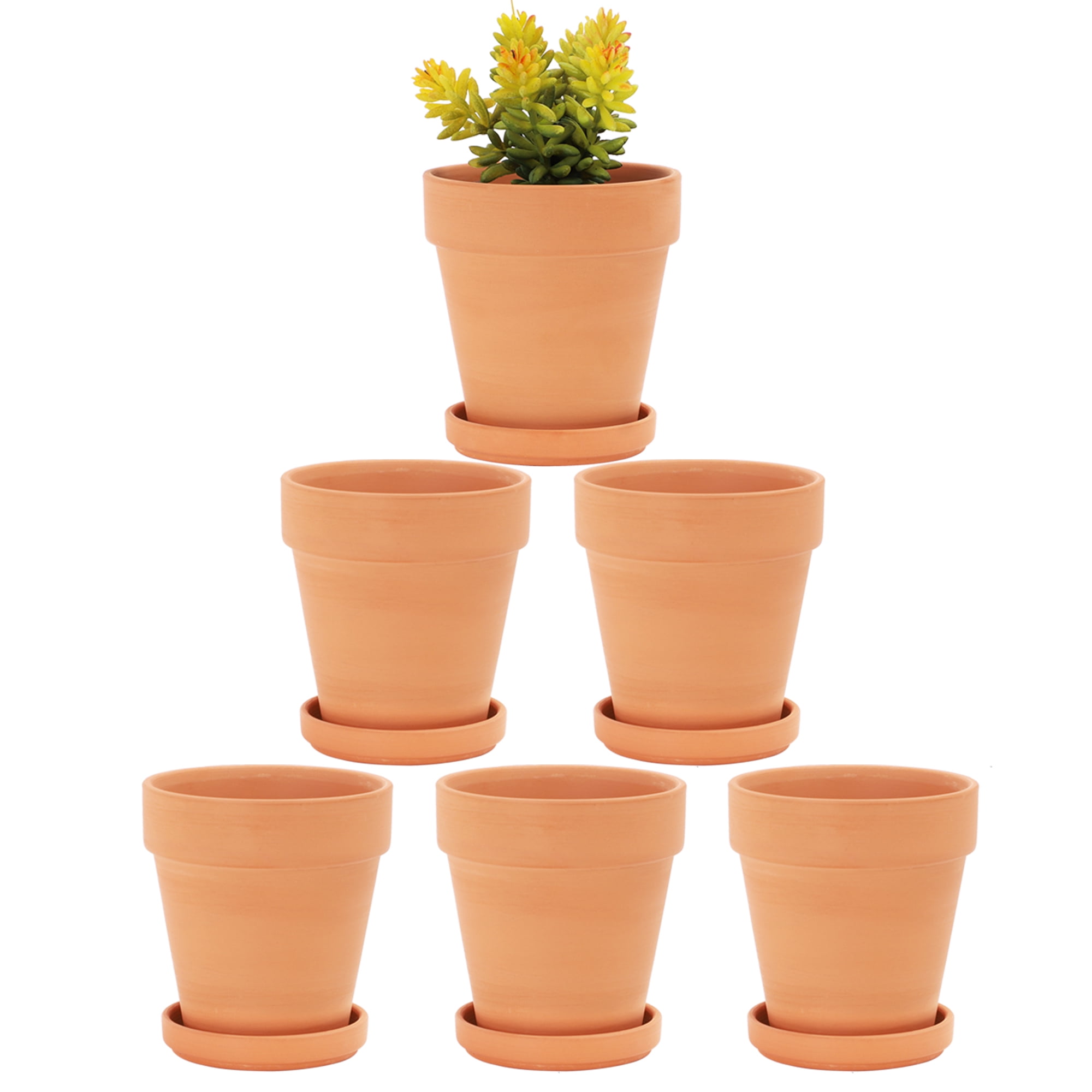 12 Pack Terra Cotta Pots with Saucer 12Pcs 3 Inches Clay Pots w/ 7pcs tool 