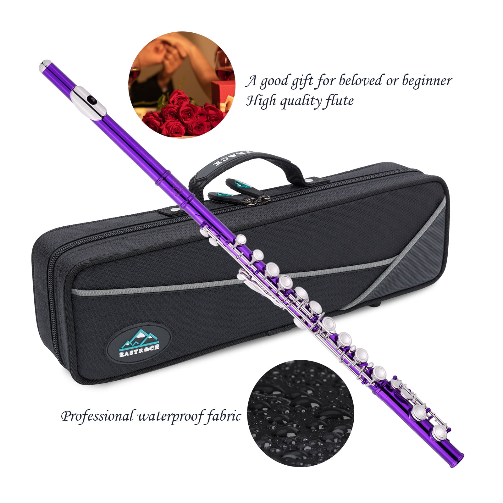 EASTROCK Closed Hole Nickel Plated Flute Soprano Recorder in C 16 with Professional Care Set for School Ensembles and Beginners Purple