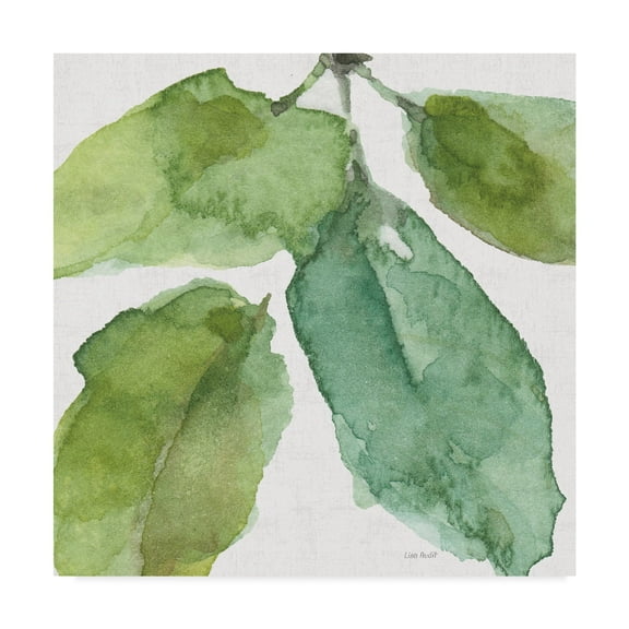 Trademark Fine Art 'Blue and Green Garden VIII' Canvas Art by Lisa Audit