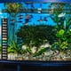 thumbnail image 3 of Termómetro adhesivo para acuario, medición precisa de la temperatura del tanque, ideal para peces, camarones y tortugas, instalación fácil de despegar y pegar., 3 of 8