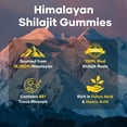 thumbnail image 5 of Gomitas de Shilajit del Himalaya, 5 of 5