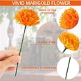 thumbnail image 5 of 100 Pcs Marigold Flower Heads Bulk, Multiple Color Silk Marigold with Stems Artificial Marigold Garland for Day of The Dead Decoration Dia De Los Muertos Halloween Decor, 5 of 5