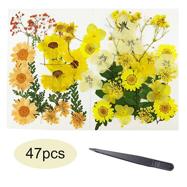 60 Pack Artificial Daisy Flowers Heads, 2-Inch Colorful Fake Flowers, Bulk,  for Crafts, Wedding Decorations (6 Colors)