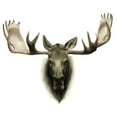 thumbnail image 2 of Popp, Grace 23x20 White Modern Wood Framed Museum Art Print Titled - Custom Single Moose, 2 of 4
