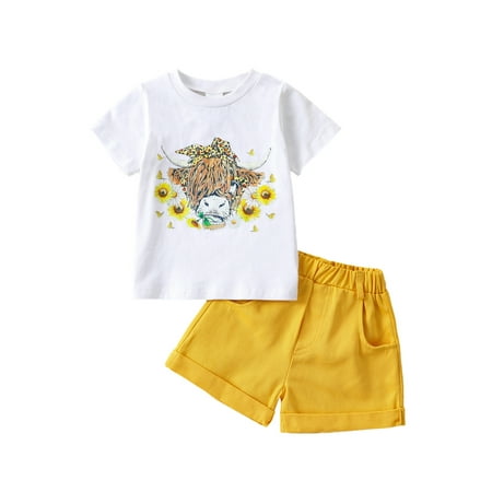 

Bagilaanoe 2pcs Toddler Baby Girls Short Pants Set Short Sleeve Ruffles T-Shirts Tops + Shorts 6M 12M 18M 24M 3T 4T Kids Casual Summer Outfits