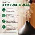 thumbnail image 3 of Gya Labs Peppermint Essential Oil with Aromatherapy stone, 3 of 8