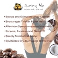 thumbnail image 3 of Sunny Isle Jamaican Black Castor Oil Pure Butter With Coconut Oil - for Hair Growth & Dry Skin, 3 of 7