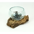 thumbnail image 2 of Things2Die4 Melted Glass Bowl on Teak Driftwood Base, 8–9" Terrarium Centerpiece Decor - Brown - Size 18.5 inch, 2 of 5