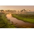 thumbnail image 2 of Jones, Adam 18x13 Black Ornate Wood Framed with Double Matting Museum Art Print Titled - Sable palms silhouetted at sunrise on the Econlockhatchee River, 2 of 4