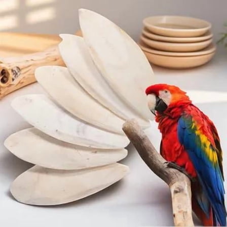 ELAYARD 6 Pcs Cuttlebone Chewing Supply for Birds Natural Bone Shape Enrichment