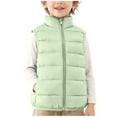 thumbnail image 6 of Generic Boys Girls Puffer Vest Quilted Zip Up Sleeveless Jackets Warm Winter Down Vest with Pockets for Kids 2-12Years, 6 of 6
