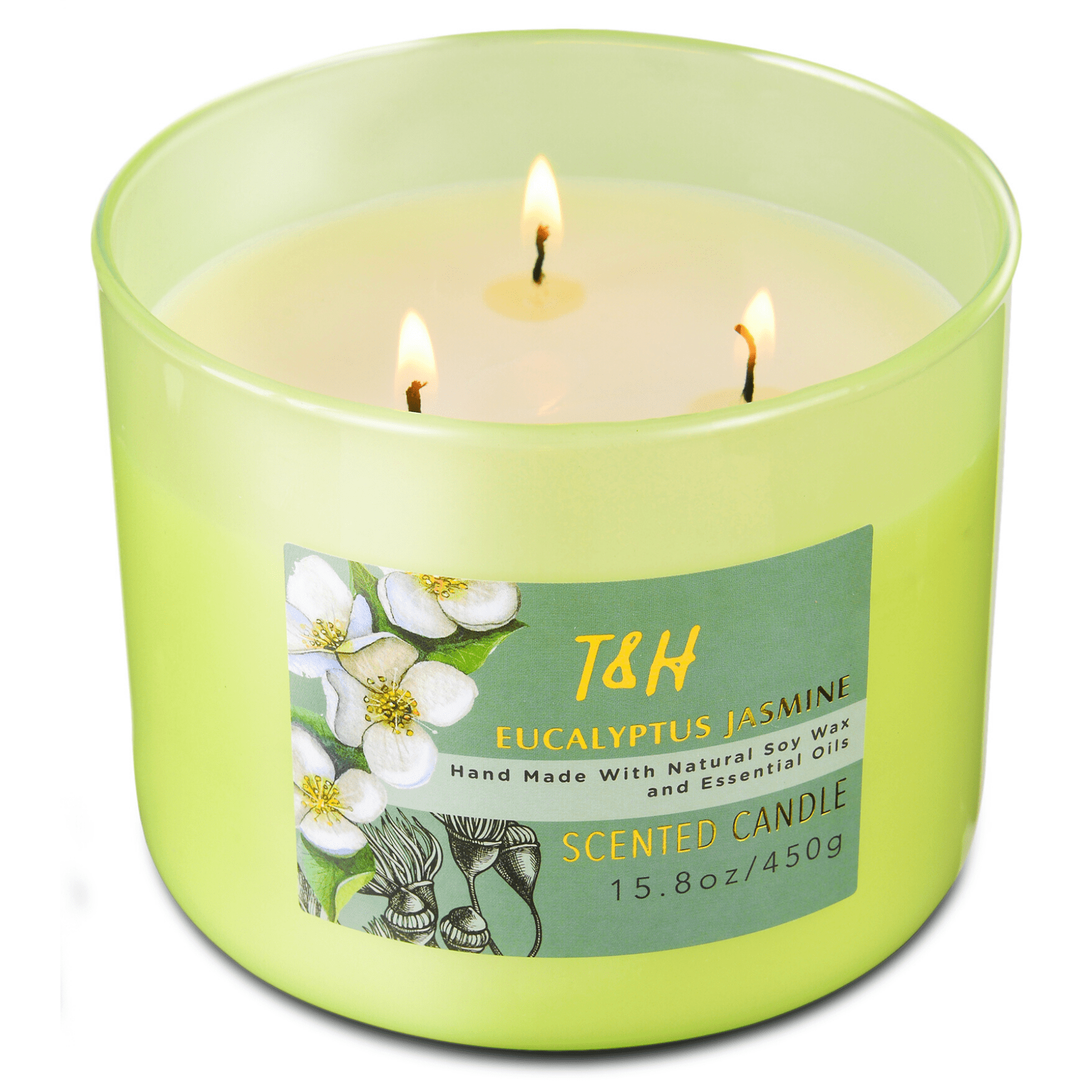 40hr LIME EUCALYPTUS & PEPPERMINT Triple Scented Candle home fresh fragrances