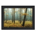 thumbnail image 2 of "Holterberg in the Mist" By Martin Podt, Printed Wall Art, Black Frame, 2 of 4